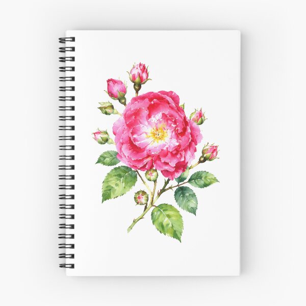 Item preview, Vibrant Pink Rose With Buds Watercolor Botanical Art designed and sold by Shew Gallery.