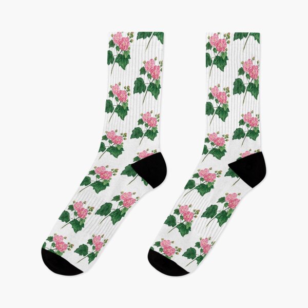 Item preview, November 10th birthday flower Hibiscus mutabilis designed and sold by 366birthflower.