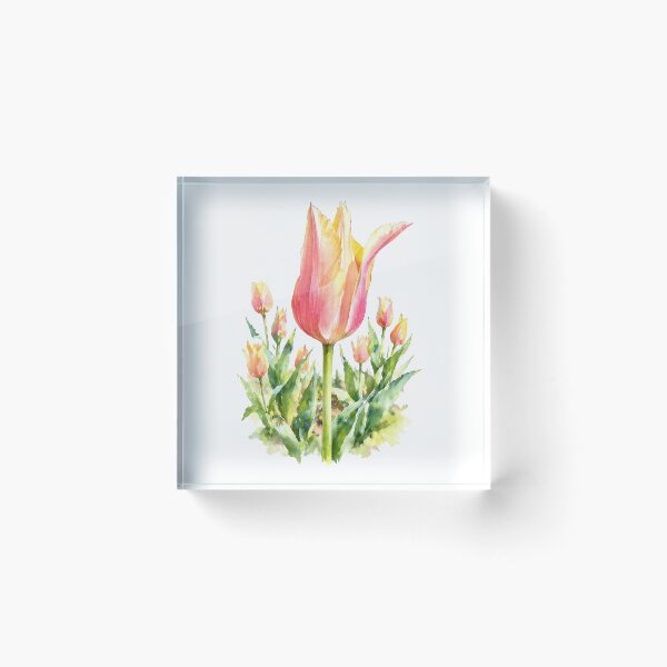 Aperçu de l'œuvre Tulipes roses et jaunes, aquarelle botanique créée et vendue par Shew Gallery.