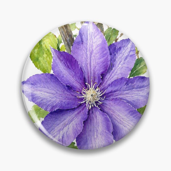 Item preview, Purple Clematis Watercolor Botanical Art designed and sold by Shew Gallery.