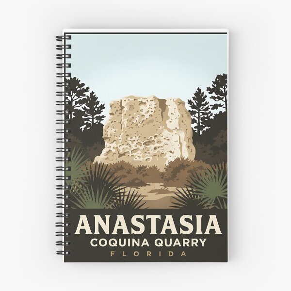 Item preview, Anastasia State Park Coquina Quarry Florida Poster Sticker designed and sold by DetourDgn.