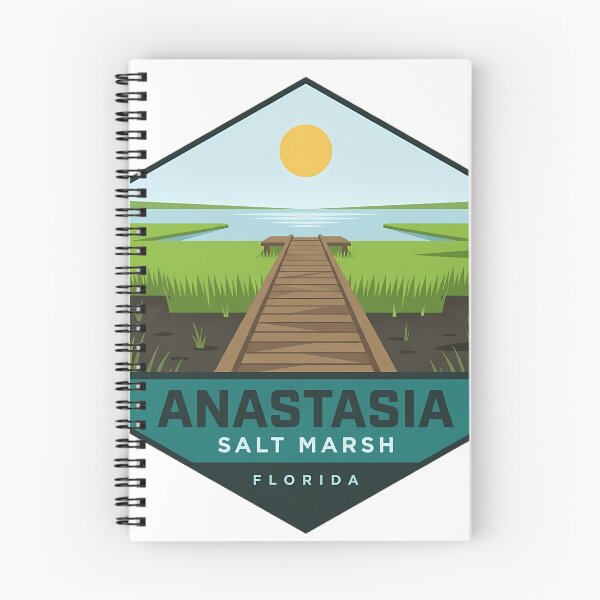 Item preview, Anastasia State Park Salt Marsh Boardwalk Florida Badge Sticker designed and sold by DetourDgn.