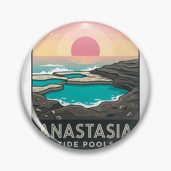 Item preview, Anastasia State Park Tide Pools Florida Sunrise Deco Sticker designed and sold by DetourDgn.