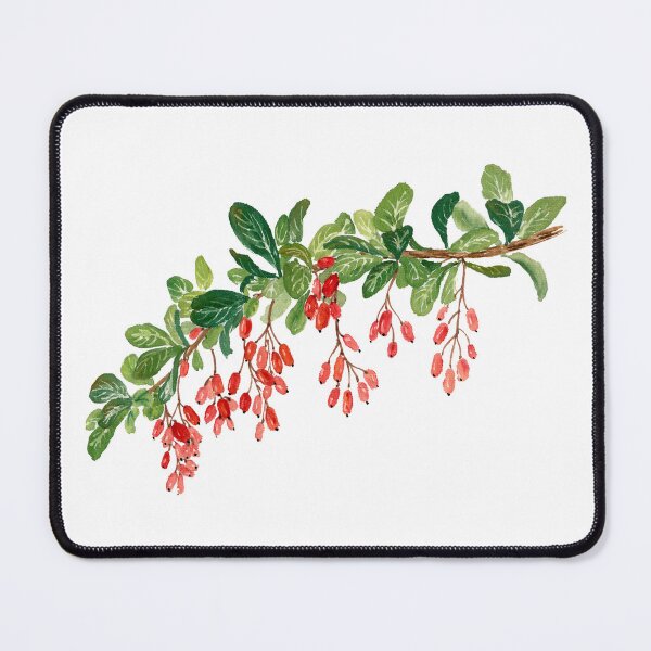 Item preview, November 22nd birthday flower Barberry designed and sold by 366birthflower.