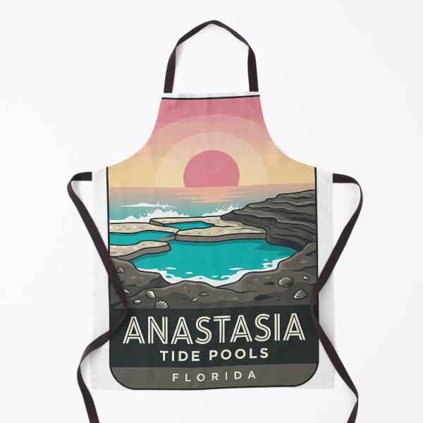 Item preview, Anastasia State Park Tide Pools Florida Sunrise Deco Sticker designed and sold by DetourDgn.