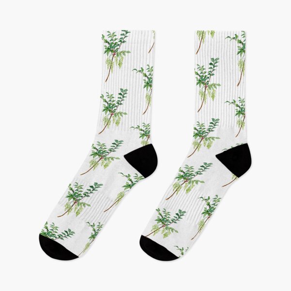 Item preview, November 25th birthday flower Rhus trichocarpa designed and sold by 366birthflower.
