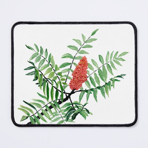 Item preview, November 27th birthday flower Sumac designed and sold by 366birthflower.