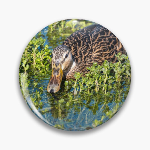 Item preview, Duck Foraging in Wetland designed and sold by Debra Martz.