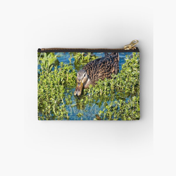 Item preview, Duck Foraging in Wetland designed and sold by Debra Martz.