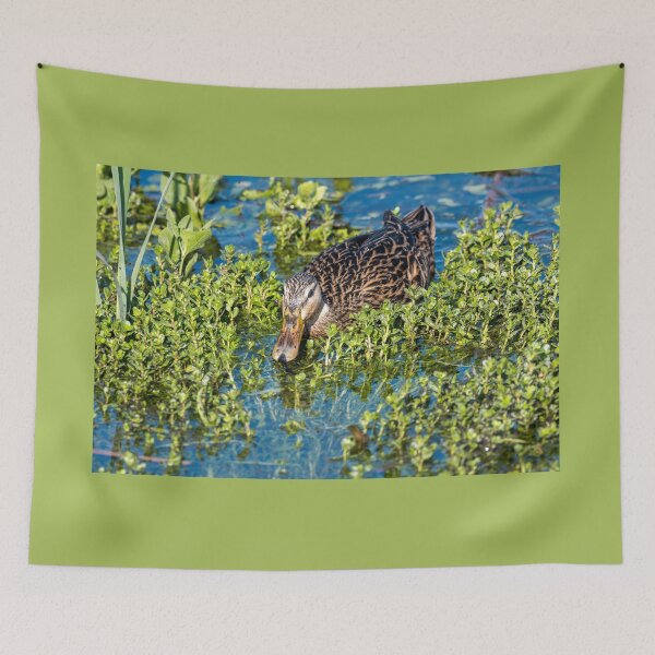 Item preview, Duck Foraging in Wetland designed and sold by Debra Martz.