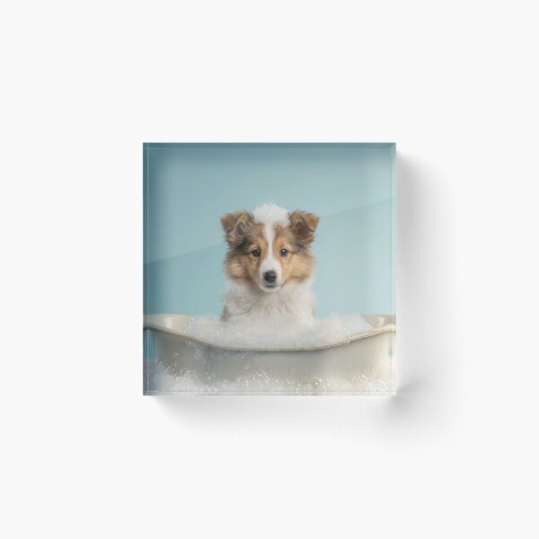 Item preview, Baby Shetland Sheepdog Bubble Bath Cute Nursery Wall Art designed and sold by LazyOwlStore.
