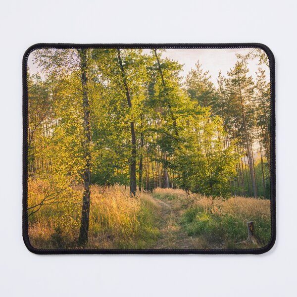 Item preview, Walk in an autumn forest. designed and sold by vz-mrvq-01.