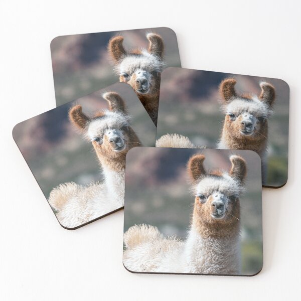 Item preview, Cute Andean llama portrait with fluffy brown ears designed and sold by Keltoi-art.