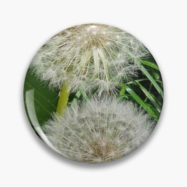 Item preview, Golden Hour Dandelion Seeds in Nature designed and sold by EmberEchoArt.
