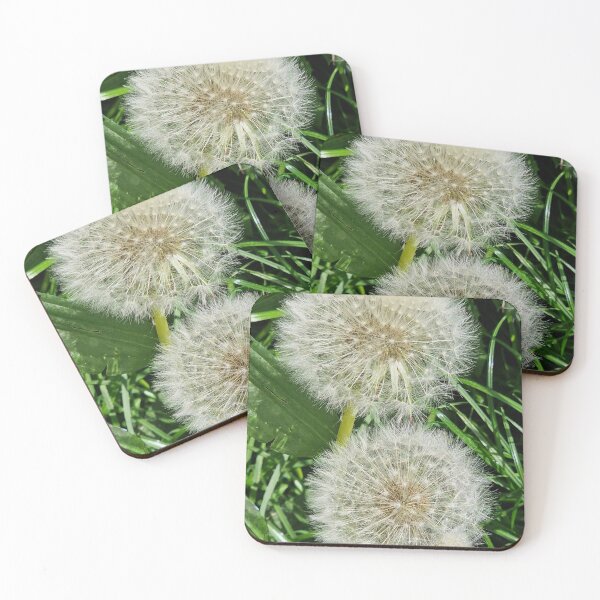 Item preview, Golden Hour Dandelion Seeds in Nature designed and sold by EmberEchoArt.