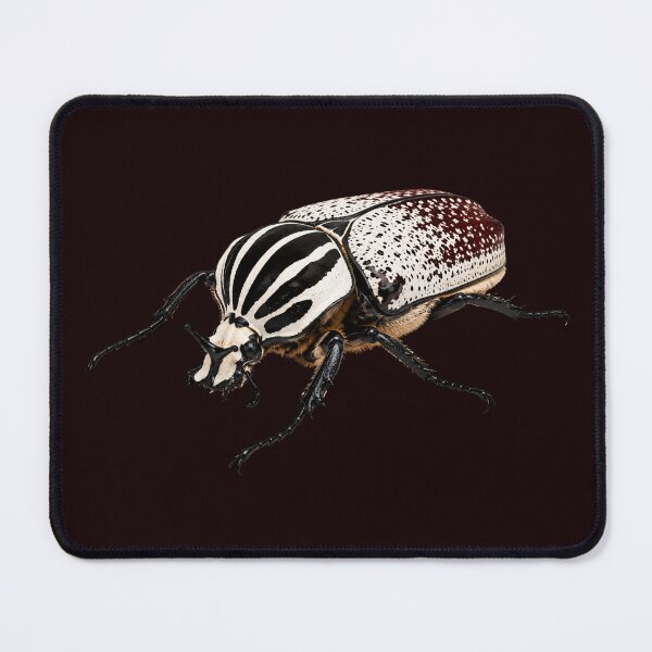 Item preview, Goliath Beetle Goliathus goliatus Realistic Style  designed and sold by Harpagann.