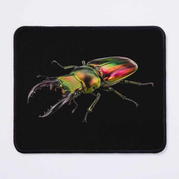 Item preview, Rainbow Stag Beetle Phalacrognathus muelleri Realistic Style  designed and sold by Harpagann.