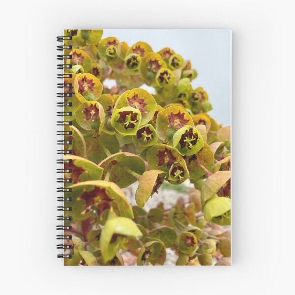Item preview, Cathedrals of Green and Maroon designed and sold by Betsy Phillips.