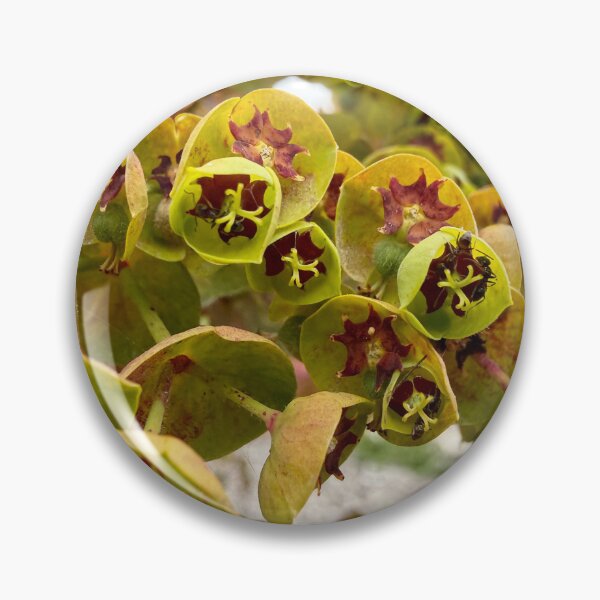 Item preview, Cathedrals of Green and Maroon designed and sold by Betsy Phillips.