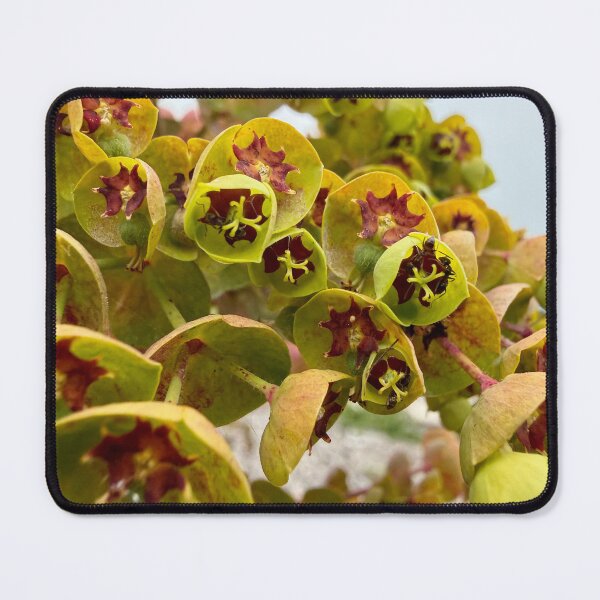 Item preview, Cathedrals of Green and Maroon designed and sold by Betsy Phillips.
