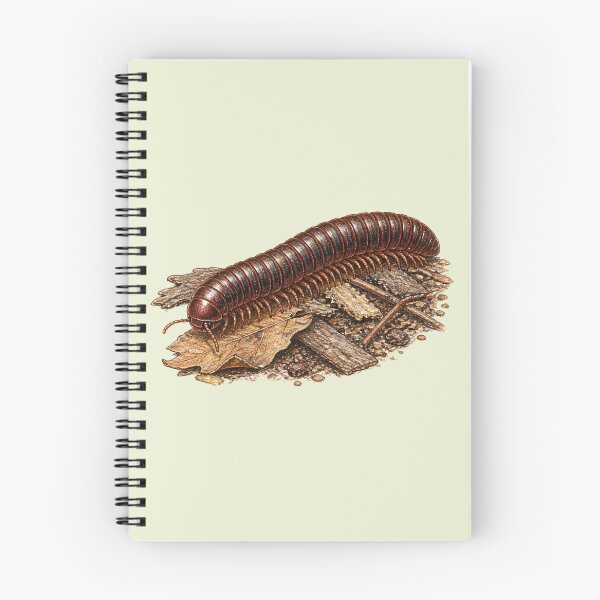 Item preview, Millipede Nature Study | Colored Pencil Wildlife designed and sold by BloomStudio1.