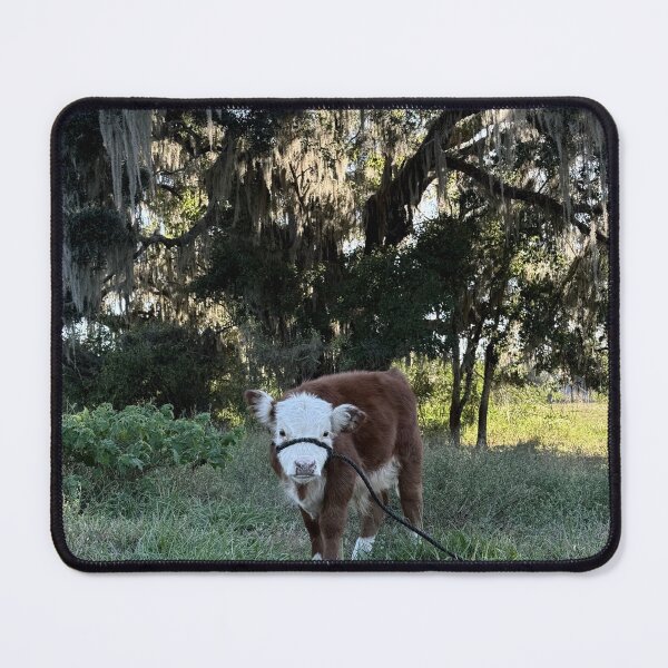 Item preview, Beautiful Calf designed and sold by Amyvb19.