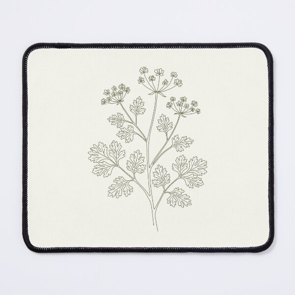 Item preview, Vintage coriander botanical print – Cilantro kitchen wall art designed and sold by CroesCreations.