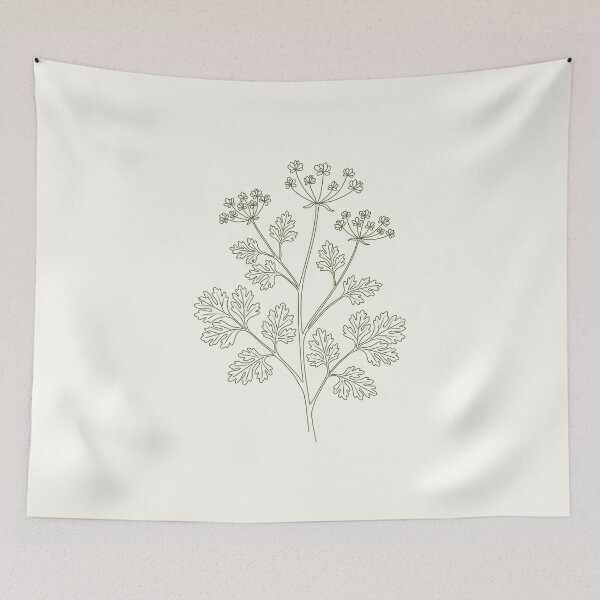 Item preview, Vintage coriander botanical print – Cilantro kitchen wall art designed and sold by CroesCreations.