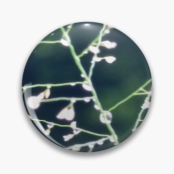 Item preview, Morning Dewdrops on Delicate Grass Macro Photography designed and sold by AWADHESH  CHAURASIA.