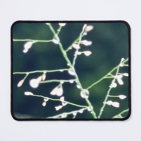 Item preview, Morning Dewdrops on Delicate Grass Macro Photography designed and sold by AWADHESH  CHAURASIA.