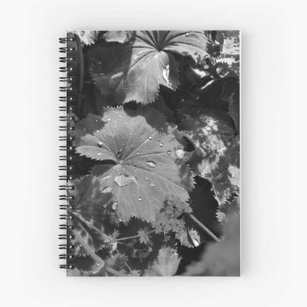 Item preview, Black and White Leaf Macro Photography designed and sold by FoxPix.