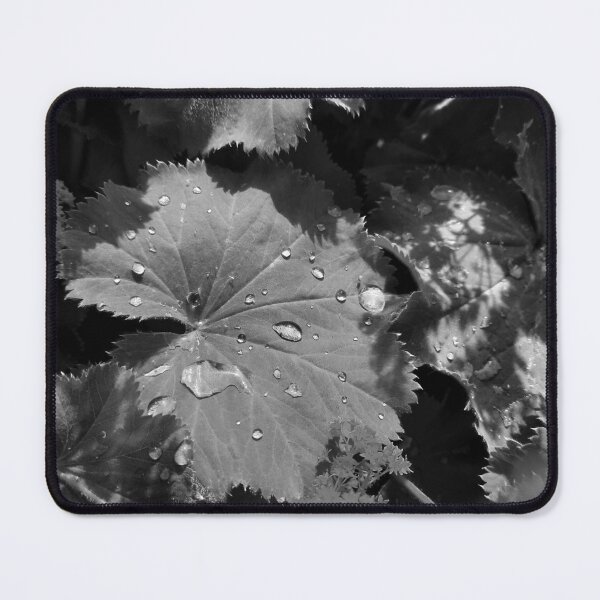 Item preview, Black and White Leaf Macro Photography designed and sold by FoxPix.
