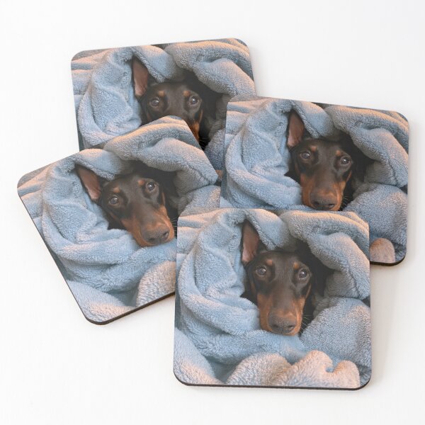 Item preview, Doberman in Blanket 01 designed and sold by Elisabeth Lucas.