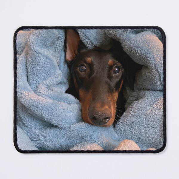 Item preview, Doberman in Blanket 01 designed and sold by Elisabeth Lucas.