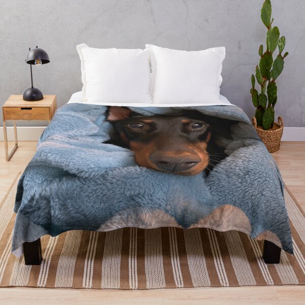 Item preview, Doberman in Blanket 01 designed and sold by Elisabeth Lucas.
