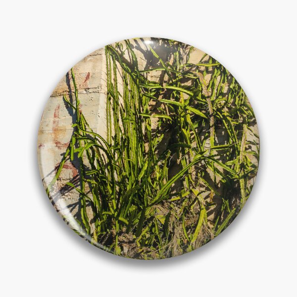 Item preview, Desert Cactus Climbing a Crumbling Concrete Wall Under Clear Blue Sky designed and sold by Nmallia.