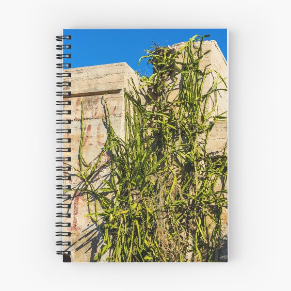 Item preview, Desert Cactus Climbing a Crumbling Concrete Wall Under Clear Blue Sky designed and sold by Nmallia.