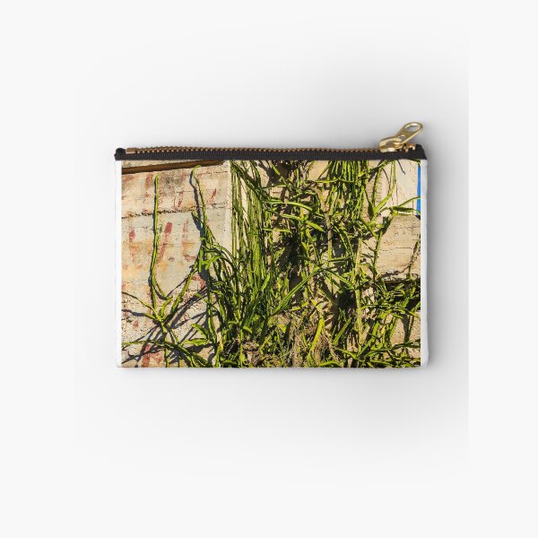 Item preview, Desert Cactus Climbing a Crumbling Concrete Wall Under Clear Blue Sky designed and sold by Nmallia.