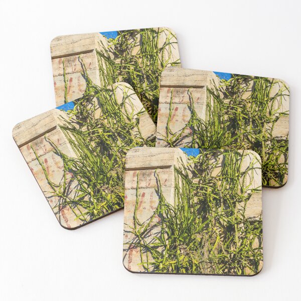 Item preview, Desert Cactus Climbing a Crumbling Concrete Wall Under Clear Blue Sky designed and sold by Nmallia.