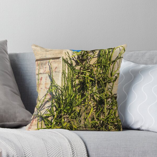 Item preview, Desert Cactus Climbing a Crumbling Concrete Wall Under Clear Blue Sky designed and sold by Nmallia.