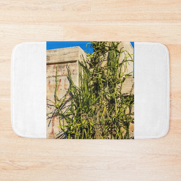 Item preview, Desert Cactus Climbing a Crumbling Concrete Wall Under Clear Blue Sky designed and sold by Nmallia.