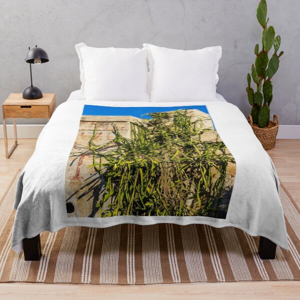 Item preview, Desert Cactus Climbing a Crumbling Concrete Wall Under Clear Blue Sky designed and sold by Nmallia.