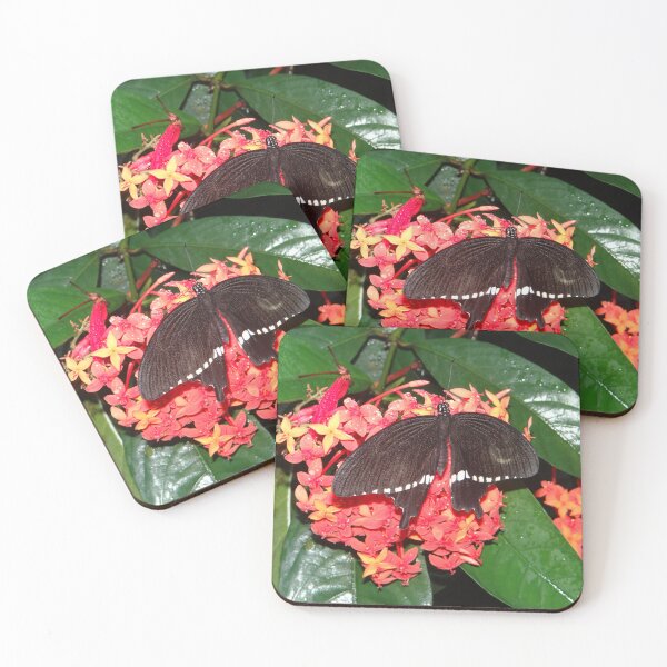 Item preview, Black Swallowtail designed and sold by GardenGrove75.