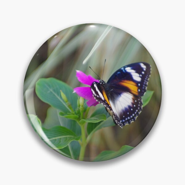 Item preview, Varied Eggfly Female Butterfly designed and sold by Kerryn Madsen-Pietsch.