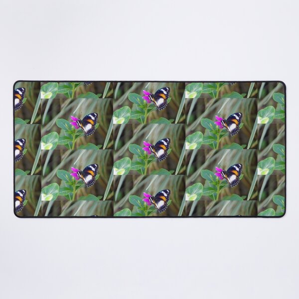 Item preview, Varied Eggfly Female Butterfly designed and sold by Kerryn Madsen-Pietsch.
