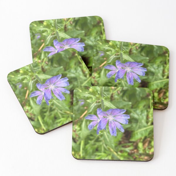 Item preview, Chicory Flowers  designed and sold by Amanda1775.
