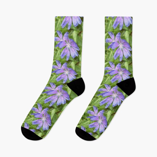 Item preview, Chicory Flowers  designed and sold by Amanda1775.