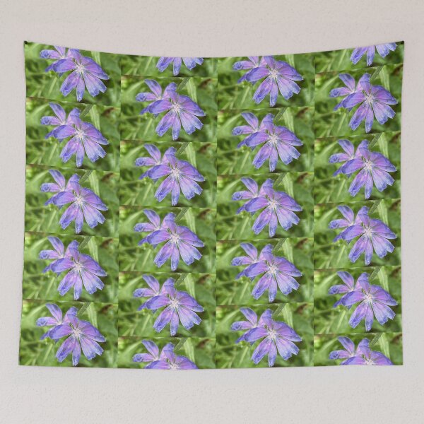 Item preview, Chicory Flowers  designed and sold by Amanda1775.