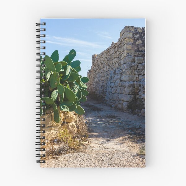 Item preview, Ancient Stone Wall Along a Desert Path with Cactus Plants Under Clear Sky designed and sold by Nmallia.