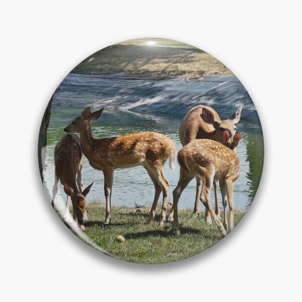 Item preview, Deer designed and sold by stuffinthings82.